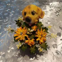 گلهای بلندر مدرن