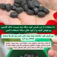 قرص کود اصل نمایندگی قم|گل و گیاه طبیعی|قم, بکایی|دیوار