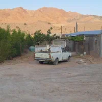 دامداری ۵۰۰راسی