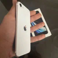 iphone SE 2020|موبایل|چالوس, |دیوار
