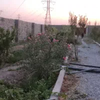 باغ-500متری