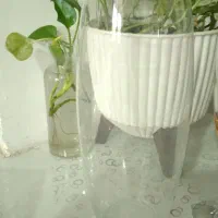 تنگ‌ماهی