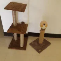 اسکرچر گربه
