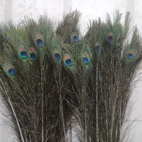 علامت .مزون .گلفروشی