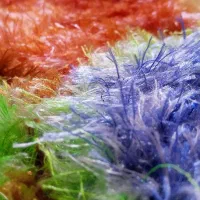 اسکاج|لوازم نظافت|نورآباد, |دیوار