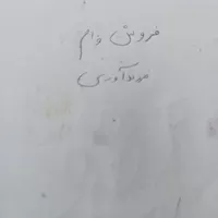 فروش وام فرزند اوری فرزند دومم ۸۸ت