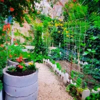 مشاوره رایگان گل و گیاهان آپارتمانی طراحی باغچه