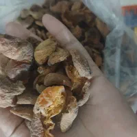 برگه زردالو