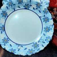 ۱۱ بشقاب میوه خوری آرکوپال پیرکس امارات نو