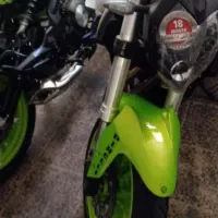 بنلی سیصد فسفری خشک