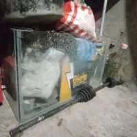 آکواریوم|ماهی|بم, |دیوار