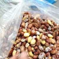 بادام زمینی محلی|خوردنی و آشامیدنی|مینودشت, |دیوار