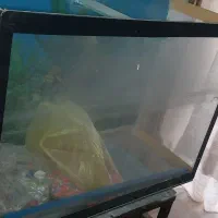 اکواریوم لوازم اکواریوم مفت