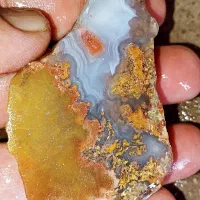 سنگ عقیق شجر گل اناری|جواهرات|ساری, |دیوار