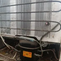 یخچال بوژان اصلی سالم زیر قیمت|یخچال و فریزر|کومله, |دیوار