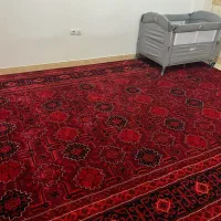 فرش سنتی زرشکی