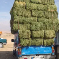 یونجه|خدمات باغبانی و درختکاری|قیدار, |دیوار