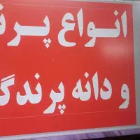 انواع پرنده ،لوازم جانبی،و دان پرندگان