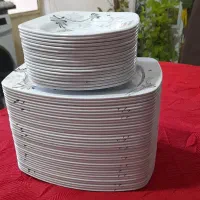 ۶ سرویس دیس برنج خوری و خورشت خوری (ملامین صددرصد)