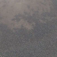 کود حیوانی پشگل|خدمات باغبانی و درختکاری|کوهدشت, |دیوار