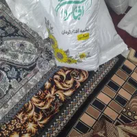 تخمه‌توپر‌ونمکی‌یه‌دست‌تازه