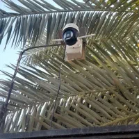 دوربین مداربسته طرح جدید