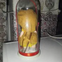 عروسک روسی نو|کلکسیون و سرگرمی|خرم‌آباد, |دیوار