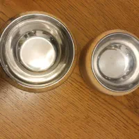 ظرف غذا و ظرف خاک گربه|گربه|کرج, فاز ۱ مهرشهر|دیوار