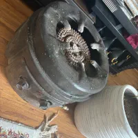 اجاق گاز بزرگ