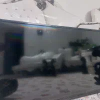 ال ای دی ۴۶ در حد