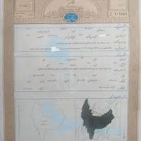 زمین قصر هلال گلبهار پلاک 238 اصلی سند تک برگی
