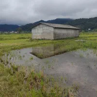 فروش یک هکتار زمین زراعی