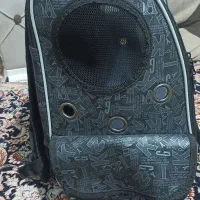 عروس هلندی|پرنده|آستارا, |دیوار