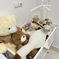 گهواره تک|تخت و صندلی بچه|بیرجند, |دیوار