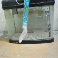 آکواریوم|ماهی|تهران, اقدسیه|دیوار