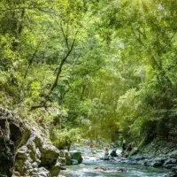 تور گردشگری یک روزه