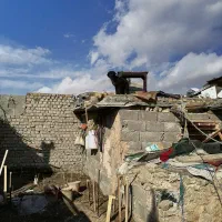 سگ ژرمن|سگ|چناران, |دیوار