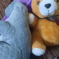 سلام|اسباب‌‌بازی|زابل, |دیوار