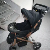 کالسکه دلیجان