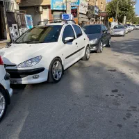 راک روف 206|قطعات یدکی و لوازم جانبی|گنبد کاووس, |دیوار