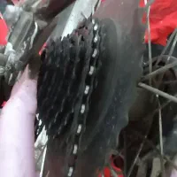 دوچرخه دخترانه|دوچرخه، اسکیت، اسکوتر|گرگان, |دیوار