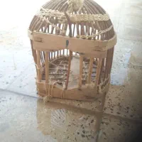 قفس معاوضه با جوجه مرغ