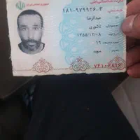 گمشده در بابل|اشیا|بابل, |دیوار