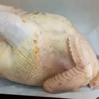 مرغ درشت پاک شده برای غذای سگ وگربه کیلویی ۶۸ تومن