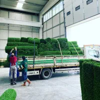 چمن/مصنوعی گرینوال فنس برگی خرید بدون واسطه