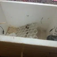 دستگاه جوجه کشی ۱۲۵ تایی
