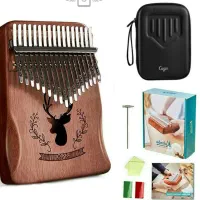 کالیمبا cega مدل پیکاپدار|پیانو، کیبورد، آکاردئون|رشت, دباغیان|دیوار