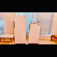 دو عدد فریزر بوش اصل آلمان