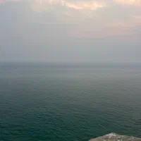 نیازمند شاطر