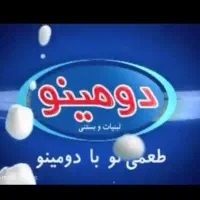 استخدام راننده در شرکت دومینو